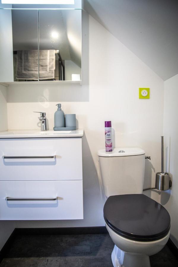 Bienvenue Dans Le Chartreuse 2 A 6 Couchages Apartment Cholonge Bagian luar foto